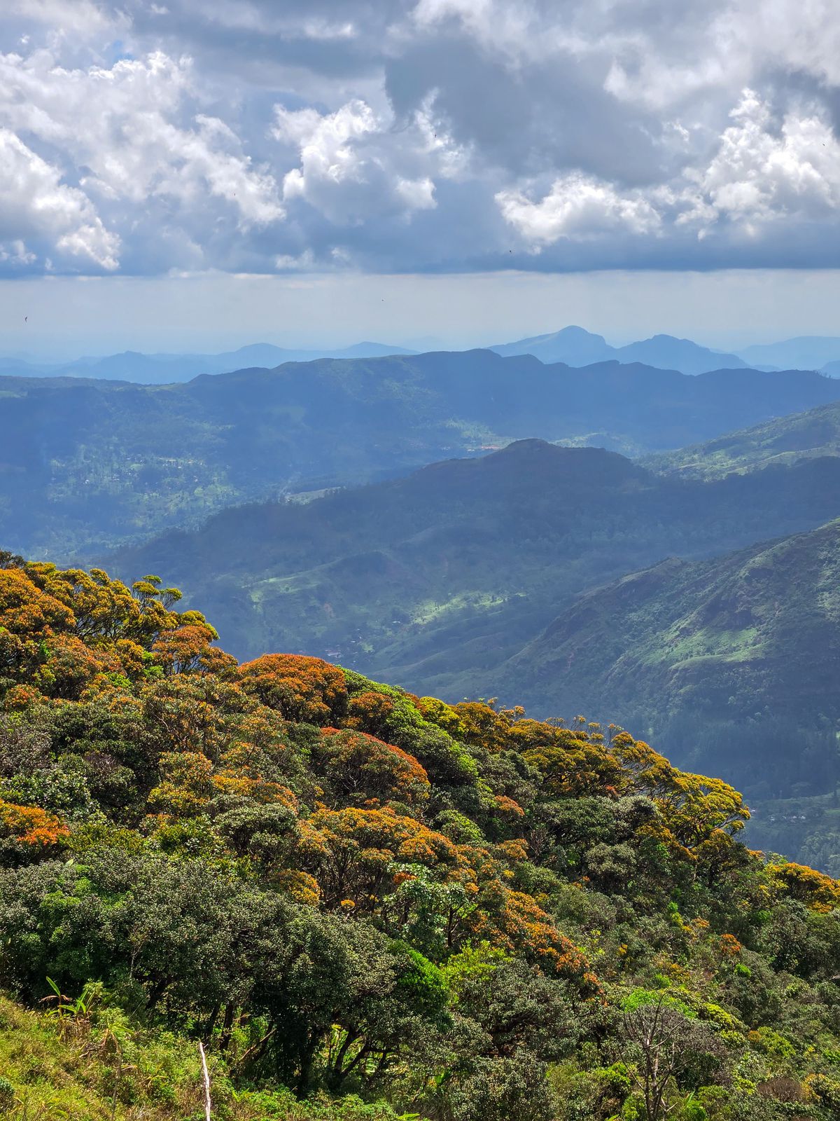 Sri Lanka trekking gallery image 2