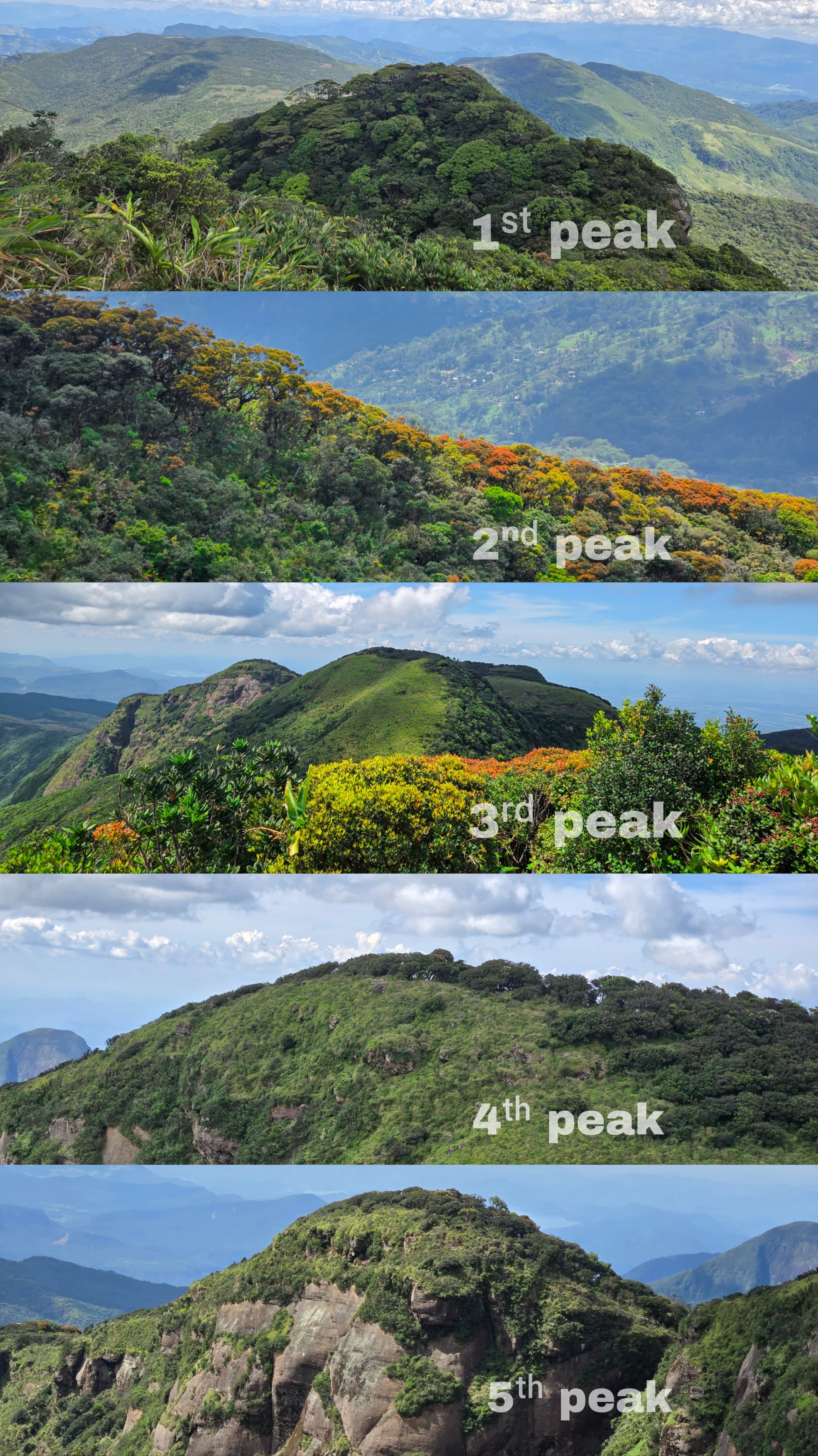 Knuckles Mountain Trail (Five Peaks) - Sri Lanka Trekking