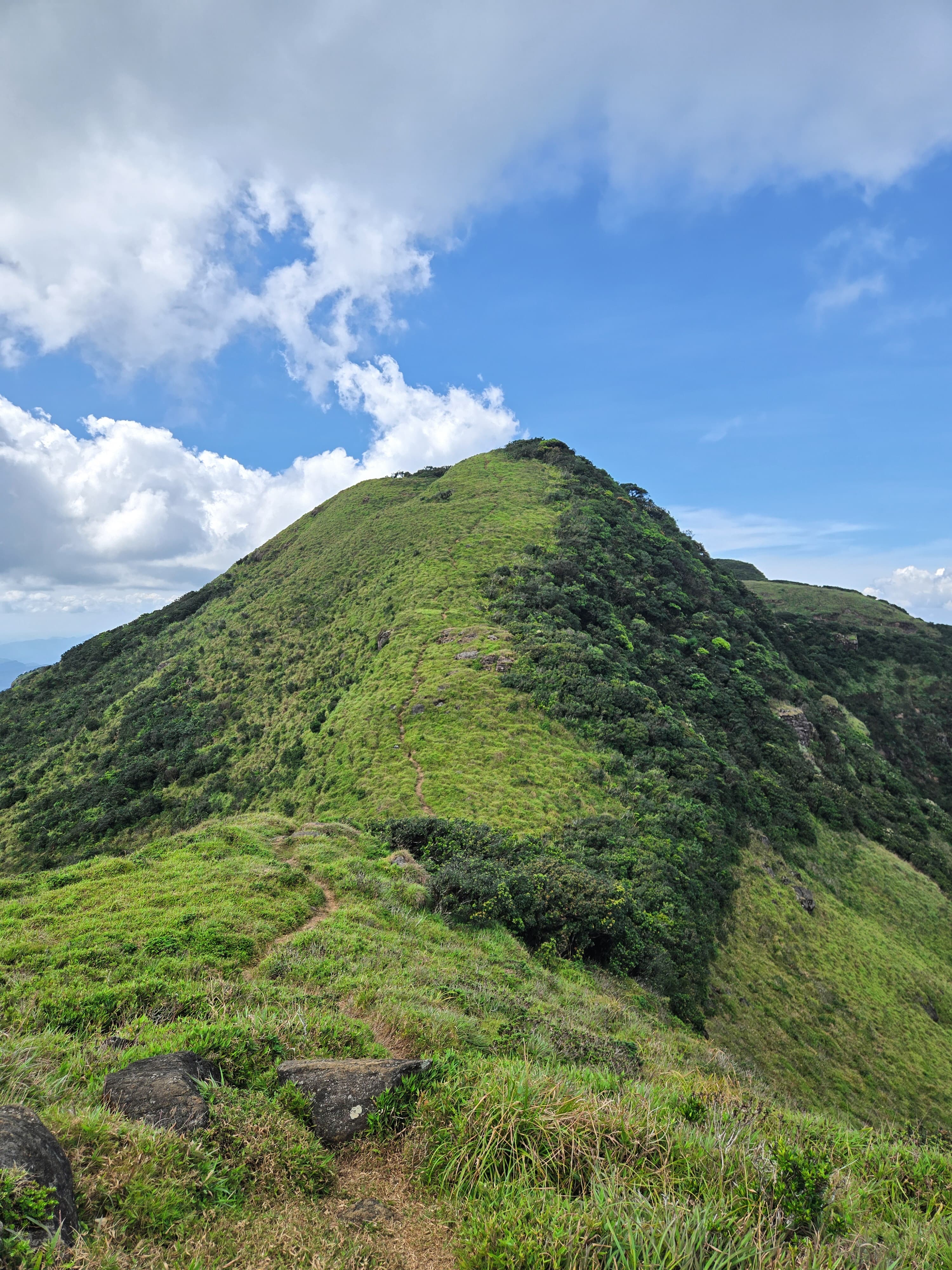 Knuckles Mountain Trail (Five Peaks) – photo 4