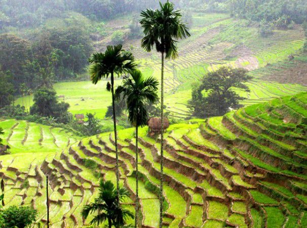 Heeloya Traditional Village Tour – photo 2
